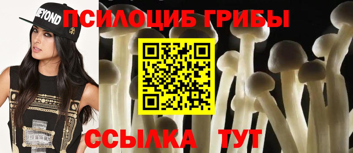 Псилоцибиновые грибы Psilocybine cubensis  Галлюциногенные грибы Magic Shrooms  Вход с VPN  Красный Сулин 